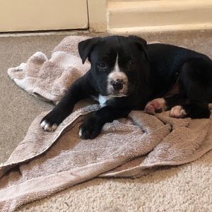 Meet your Posher, Corey